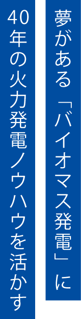 夢がある「バイオマス発電」に40年の火力発電ノウハウを活かす。
